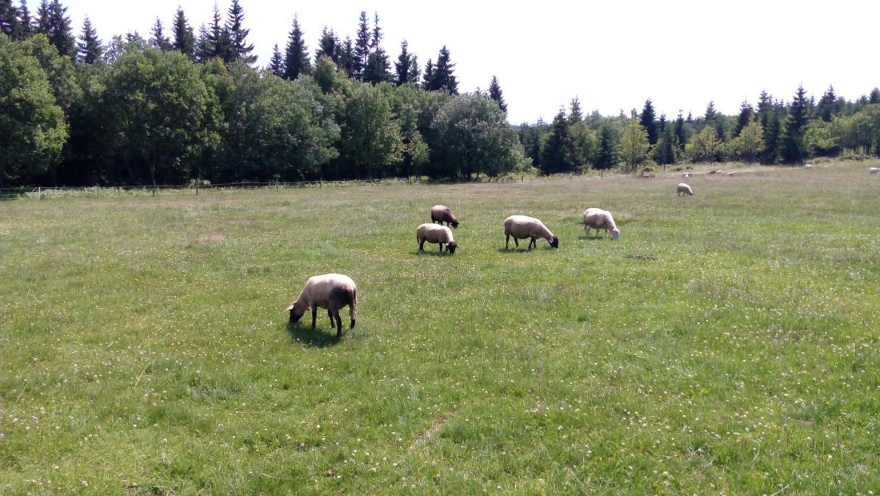 Horska Bouda Dimrovka Hotel Пец под Снежко Екстериор снимка